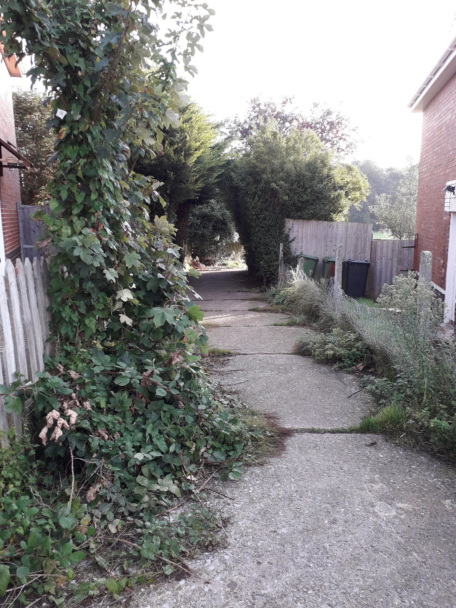 pathway overgrown and dangerous