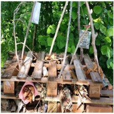 pallets in the allotment