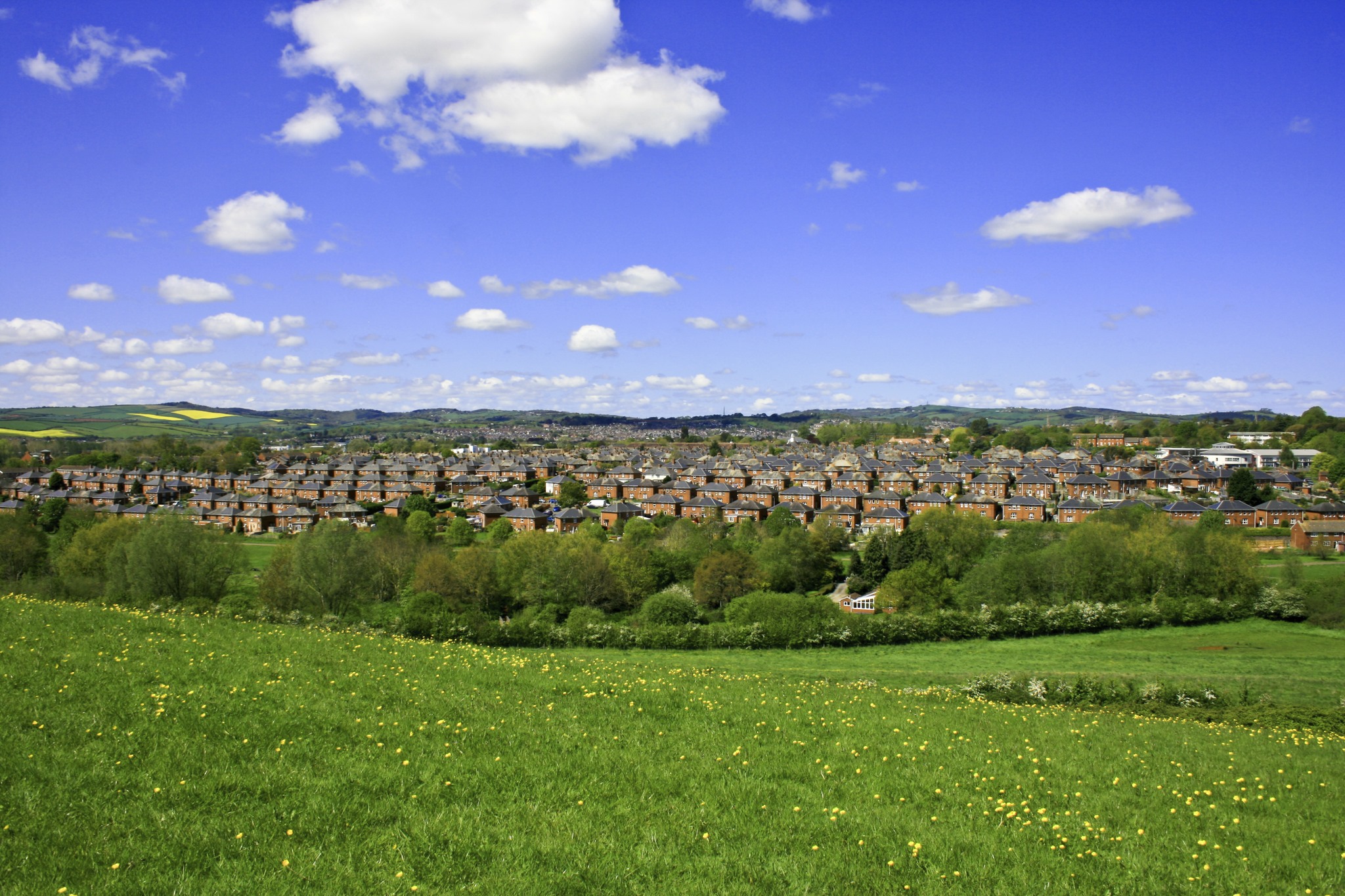 Wonford Directory This Is Wonford